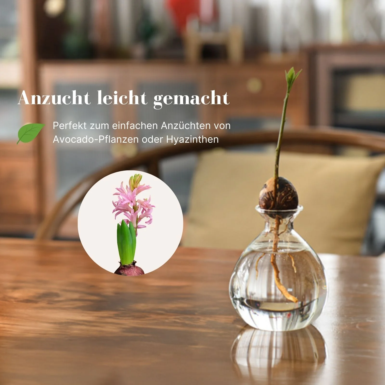 Avocadobaum-Glas Avocado-Vase Hydrokultur-Vase Hyazinthenglas - Image 3