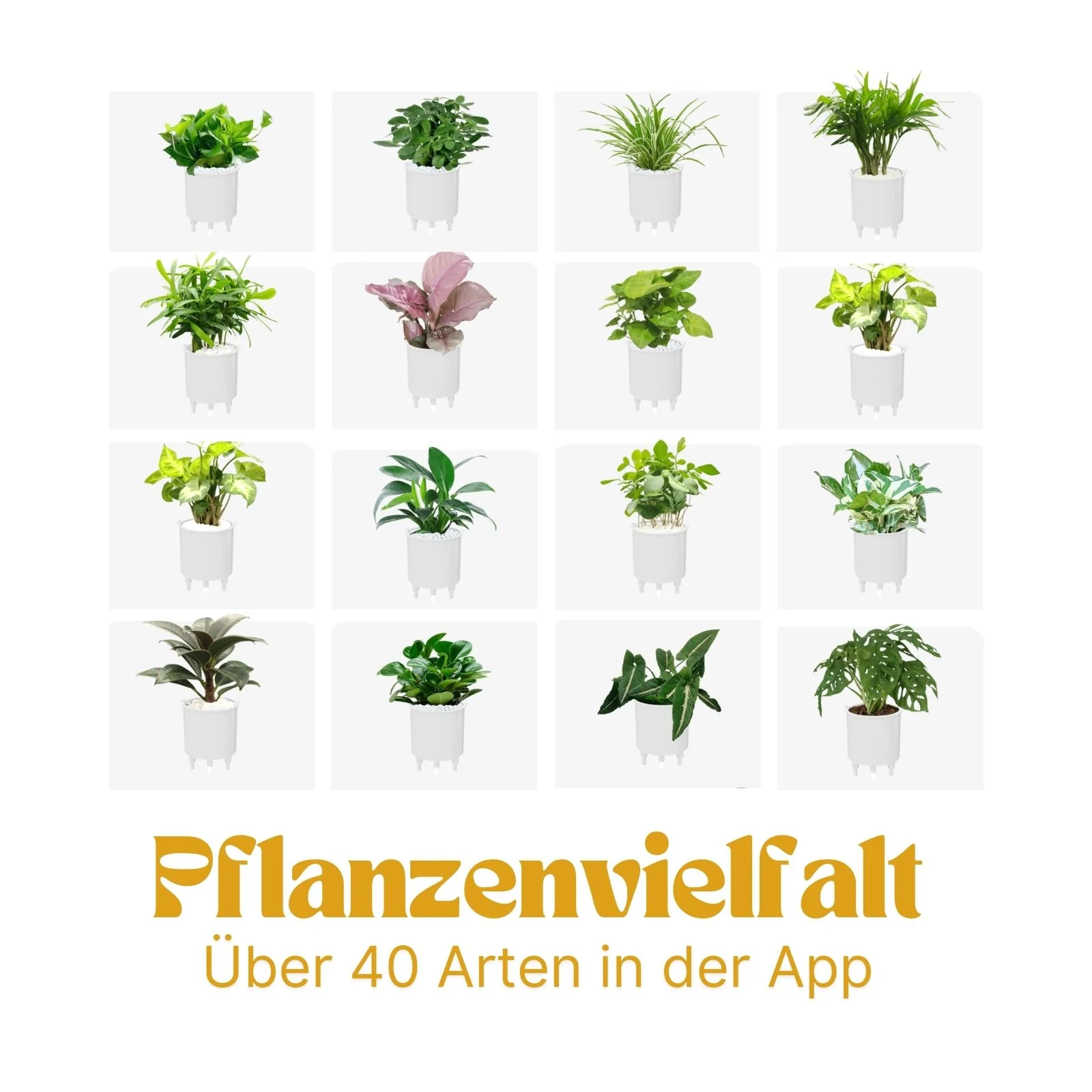 Elektronischer Blumentopf Smarter Blumentopf USB-Pflanzenübertopf Smart Plant Pot Ivy Smart Planter - Image 6