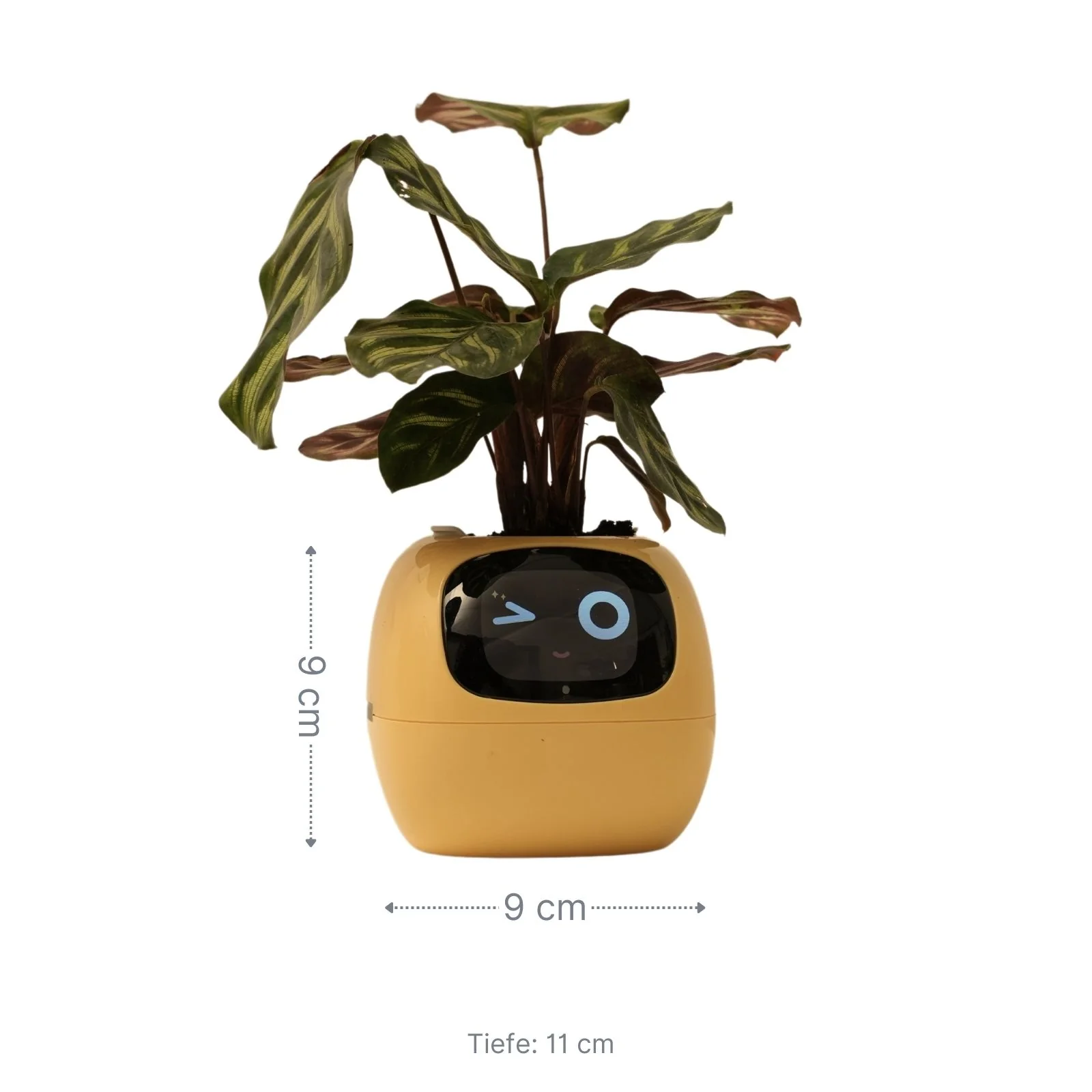 Elektronischer Blumentopf Smarter Blumentopf USB-Pflanzenübertopf Smart Plant Pot Ivy Smart Planter - Image 7