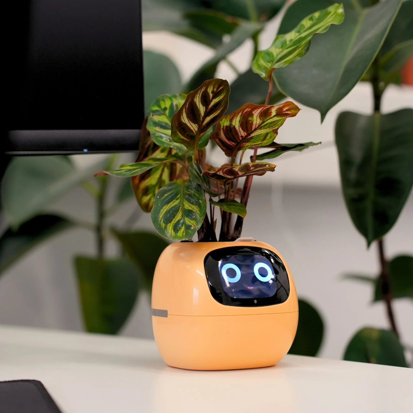 Elektronischer Blumentopf Smarter Blumentopf USB-Pflanzenübertopf Smart Plant Pot Ivy Smart Planter - Image 8