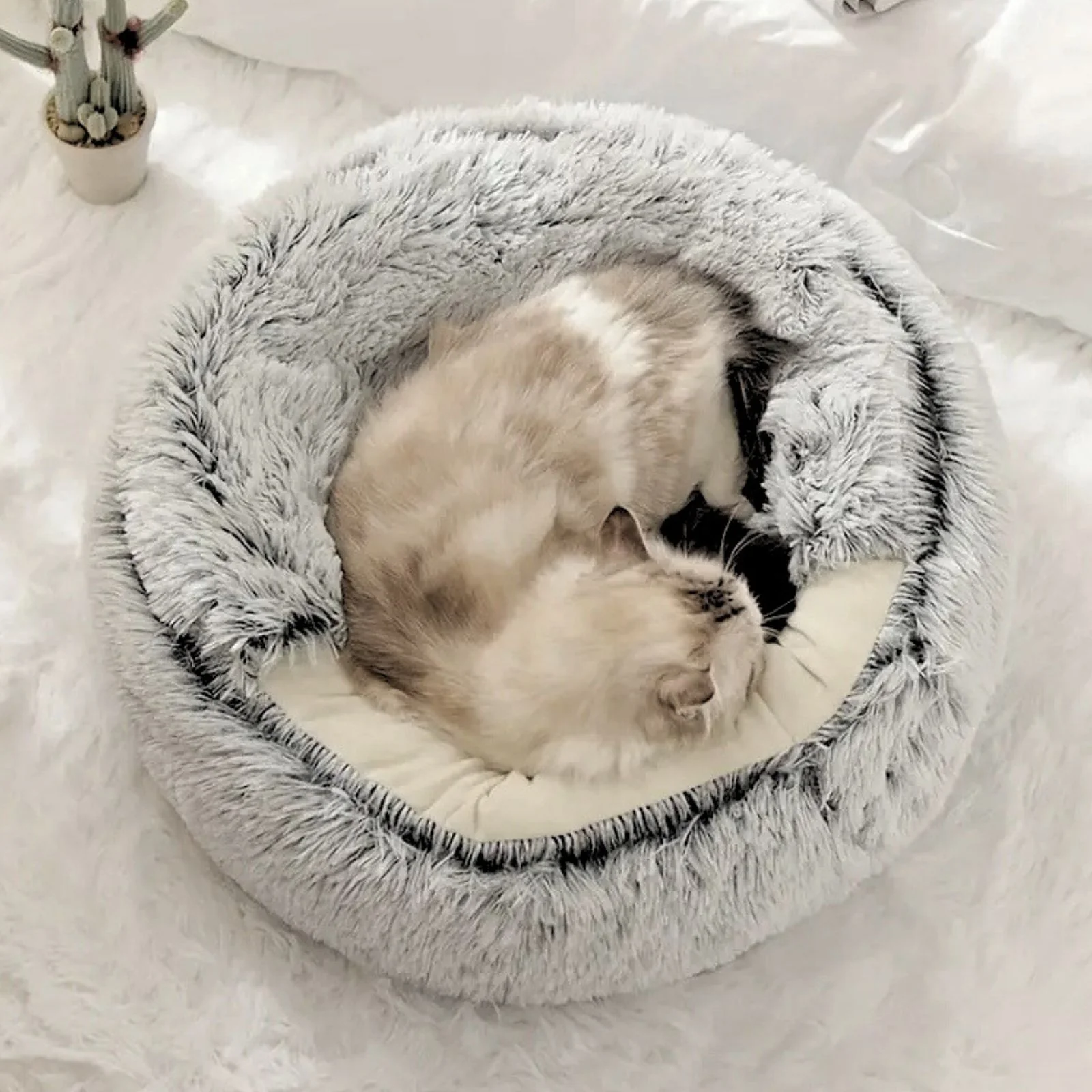 Flauschige Katzenhöhle mit Katzenangel mit Federanhänger 10-tlg. - Image 3