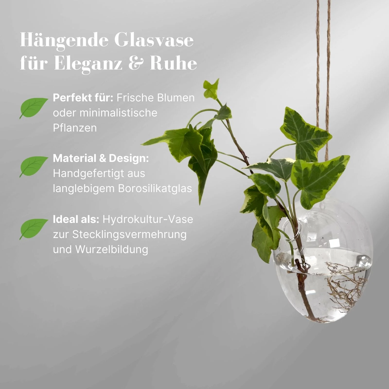 Hängende Glasvase Eiform Blumenvase Vase Dekoration - Image 2