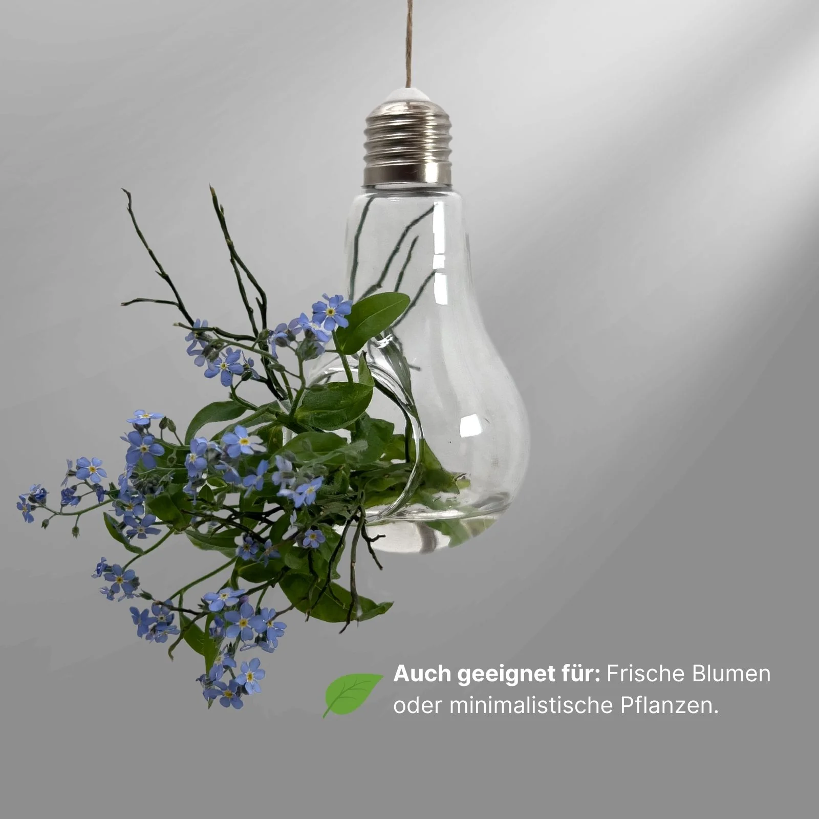 Hängende Glasvase Glühbirnenform Setzlingvase Vase Dekoration - Image 4