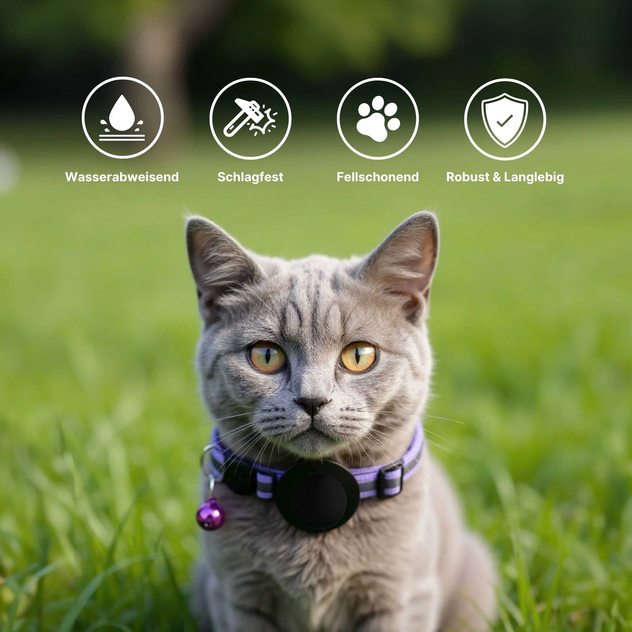 Halsband Katzenhalsband mit Airtag-Halterung Hundehalsband - Image 4