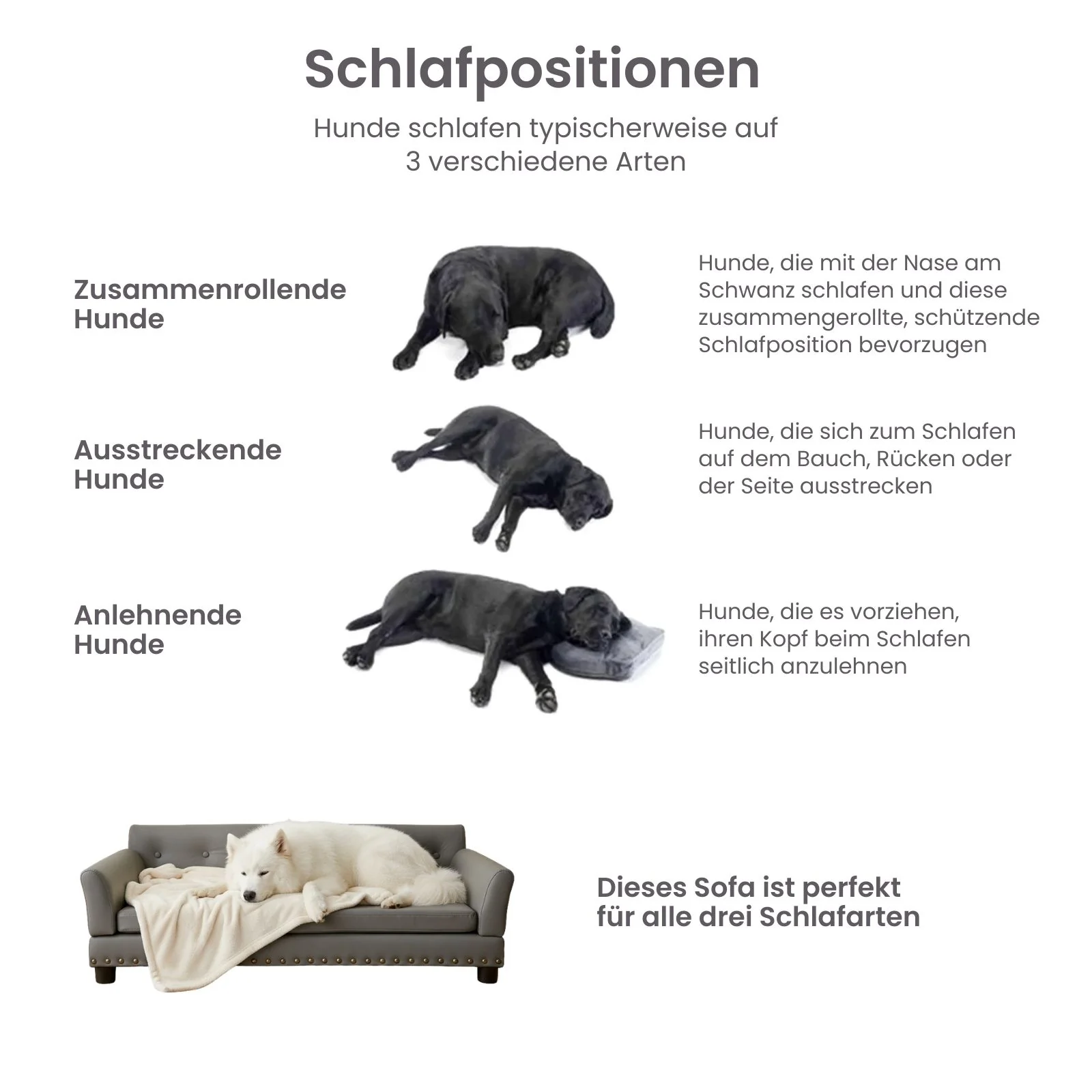 Hundesofa Grösse L Hundebett Haustiersofa Hundecouch Liegeplatz - Image 8