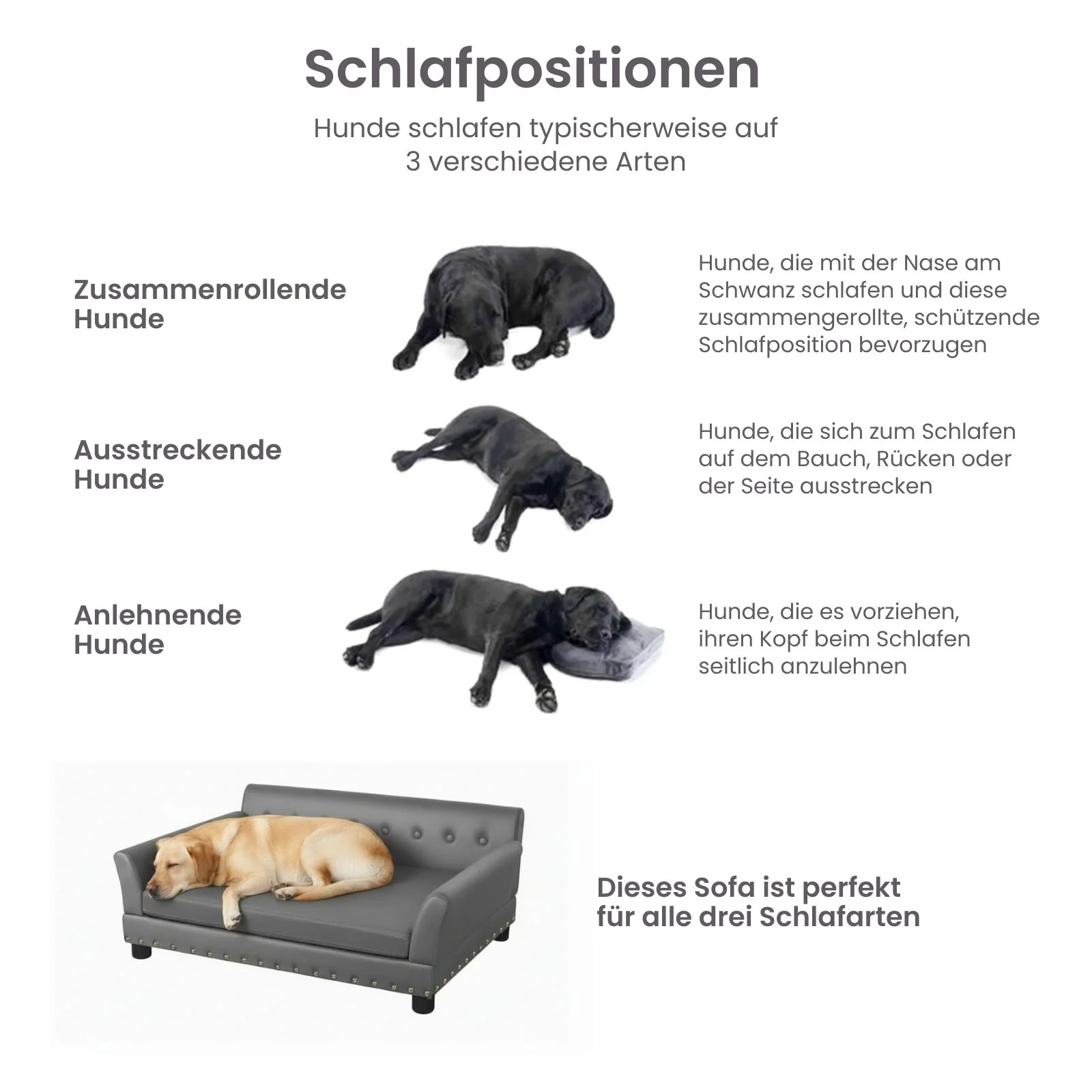 Hundesofa Grösse XL Liegeplatz Hundebett Haustiersofa Hundecouch - Image 8