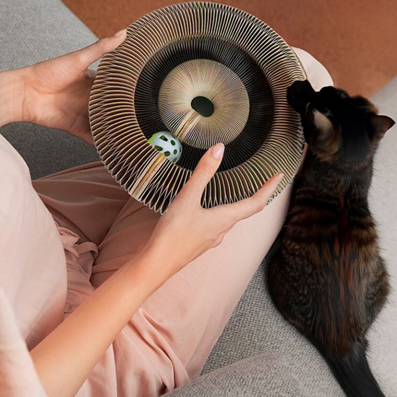 Katzen Spielzeug Ballspiel Haustierspielzeug Kratzspielzeug Kratzorgel - Image 6