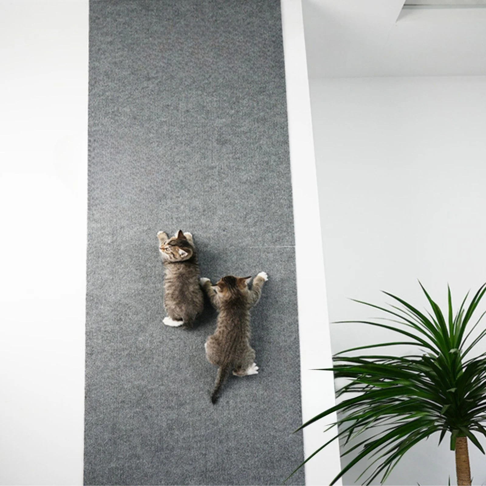 Kratzmatte für Katzen Klettermatte Kratzschutz Kratzbrett Kratzwand - Image 5