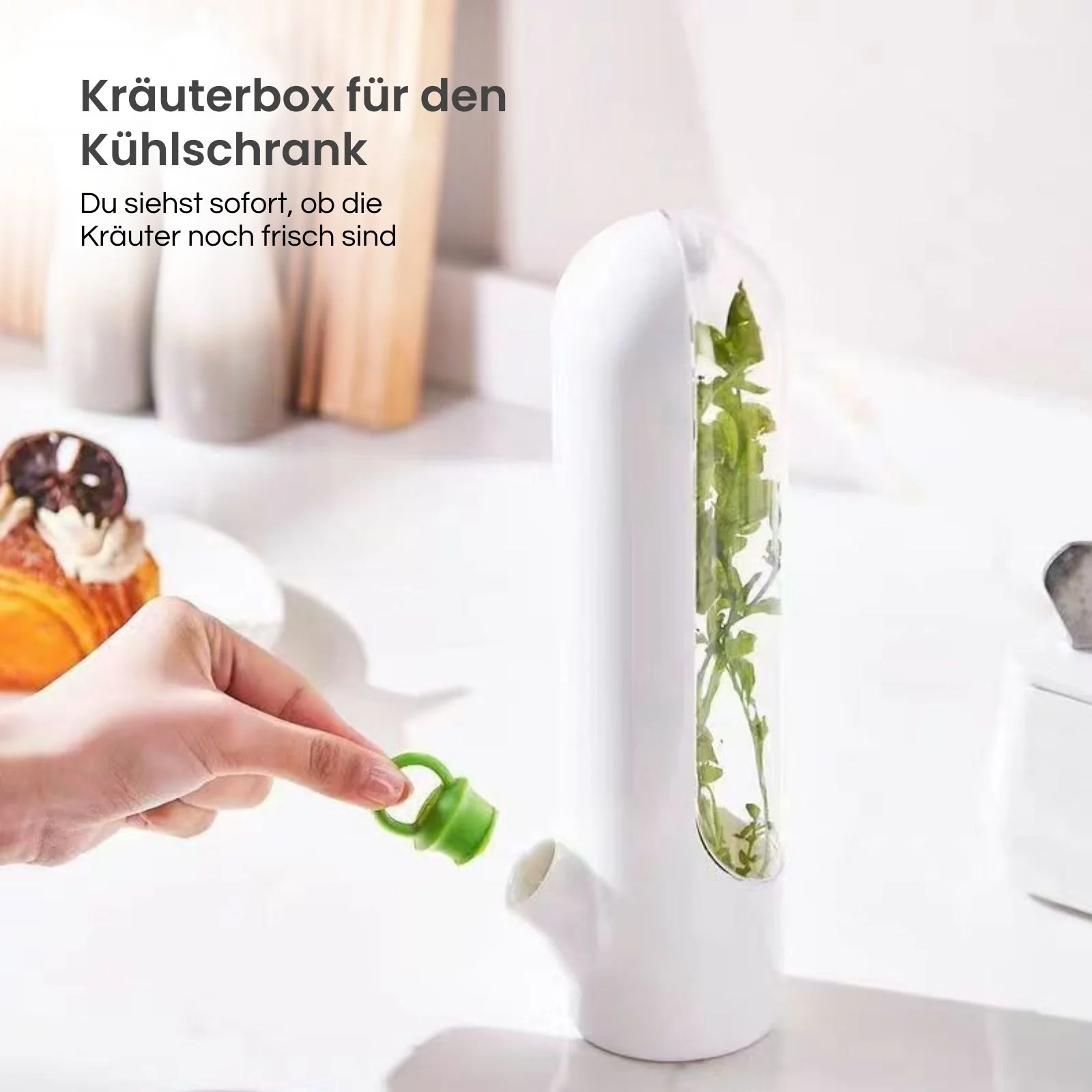 Kräuter-Aufbewahrungsbehälter Frischhaltebox für Kräuter Frischebox - Image 2