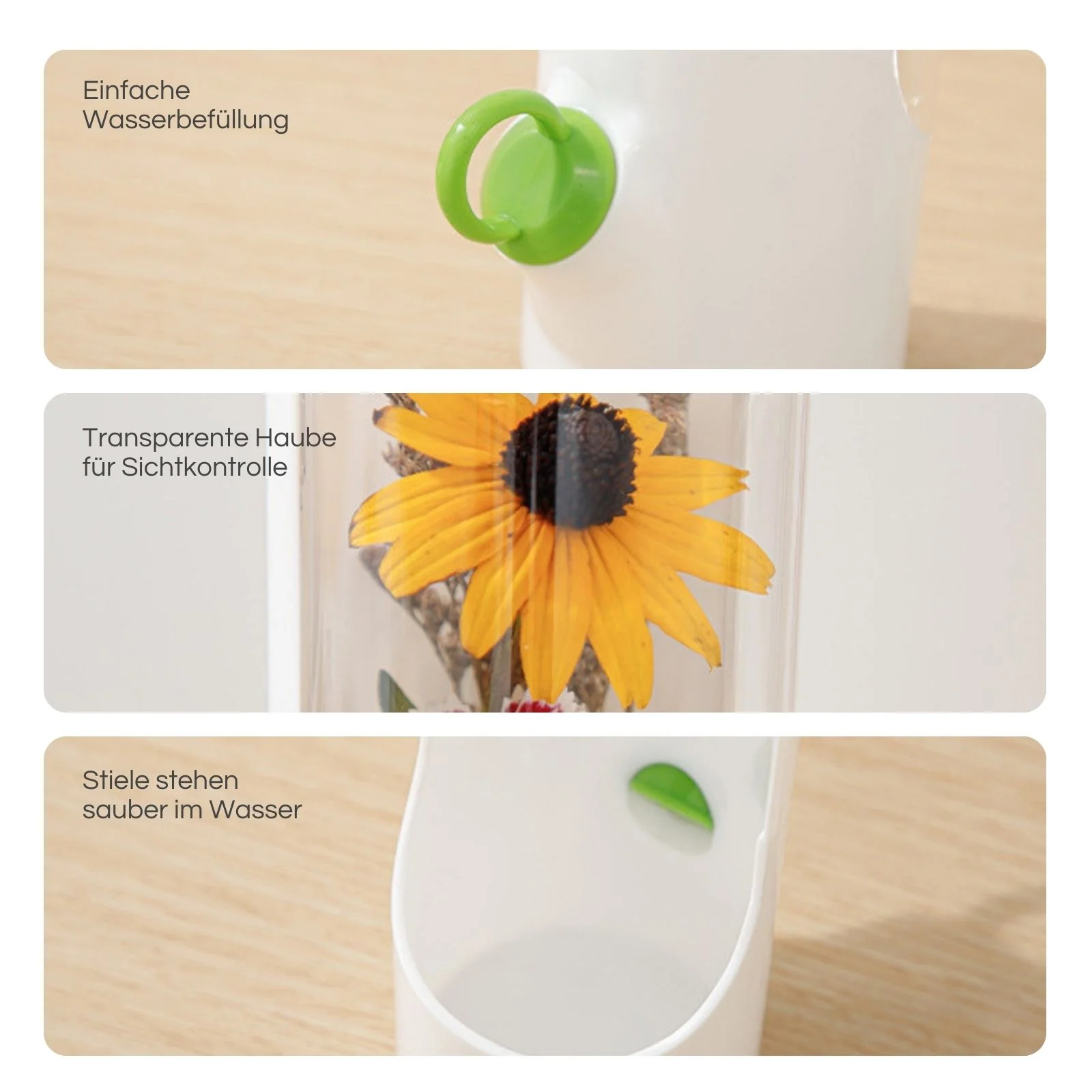 Kräuter-Aufbewahrungsbehälter Frischhaltebox für Kräuter Frischebox - Image 4