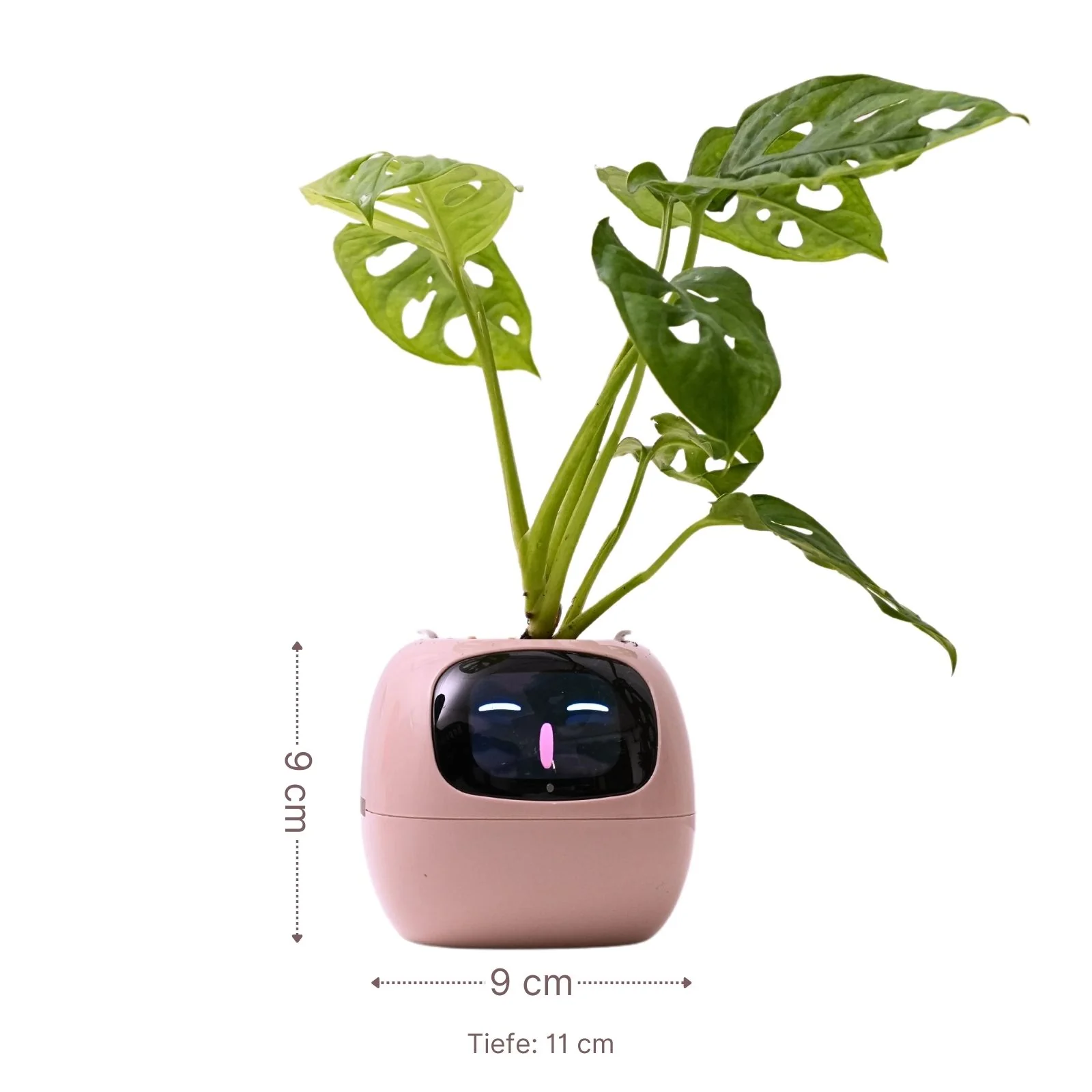 Smarter Blumentopf USB-Pflanzenübertopf Elektronischer Blumentopf Smart Plant Pot Ivy Smart Planter - Image 7