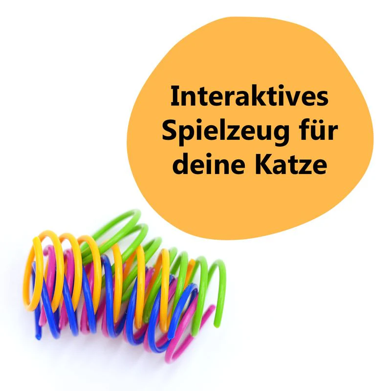Vorschaubild 2
