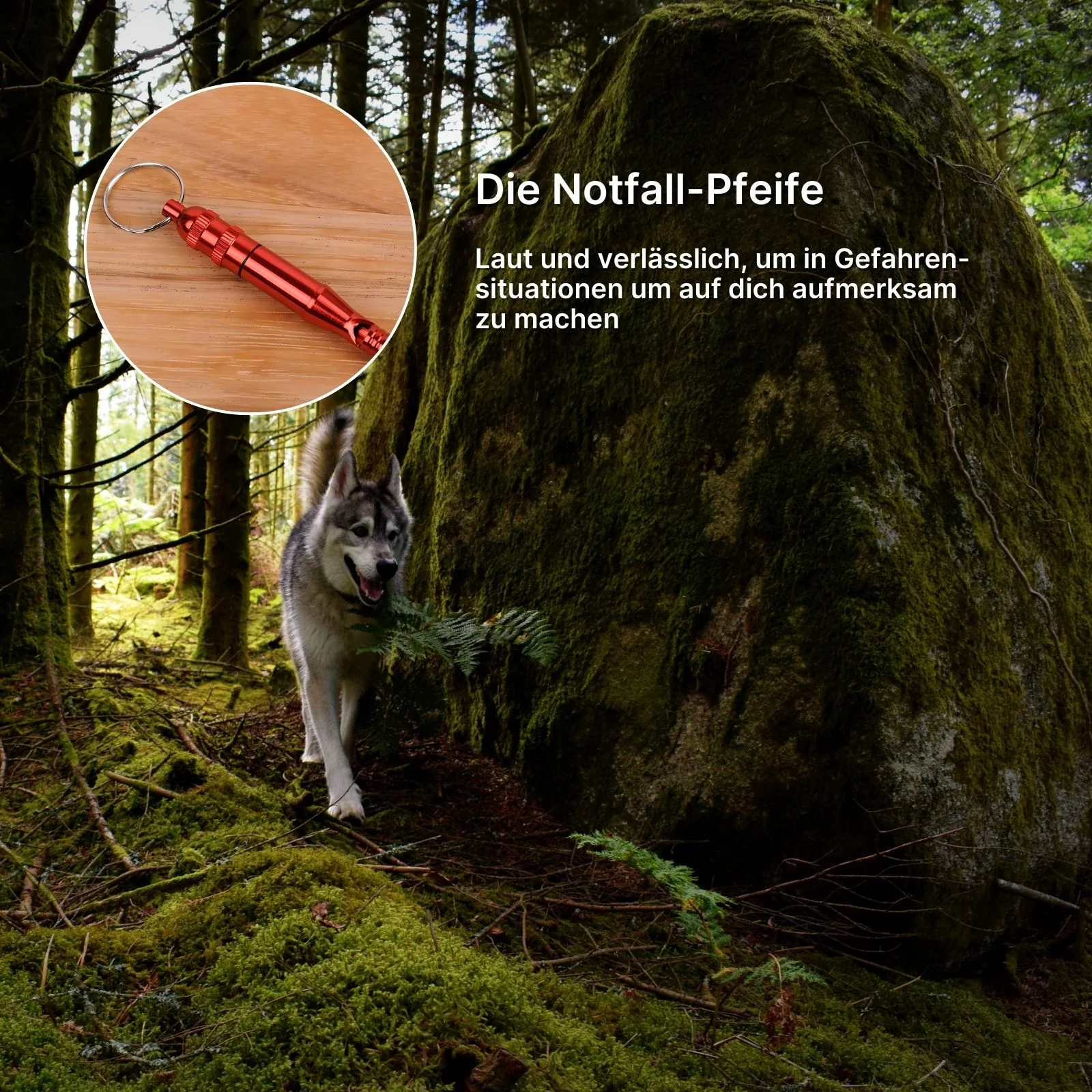 Survival-Kit Multifunktion Camping-Tools Outdoor Notfall Überlebenskit - Image 8
