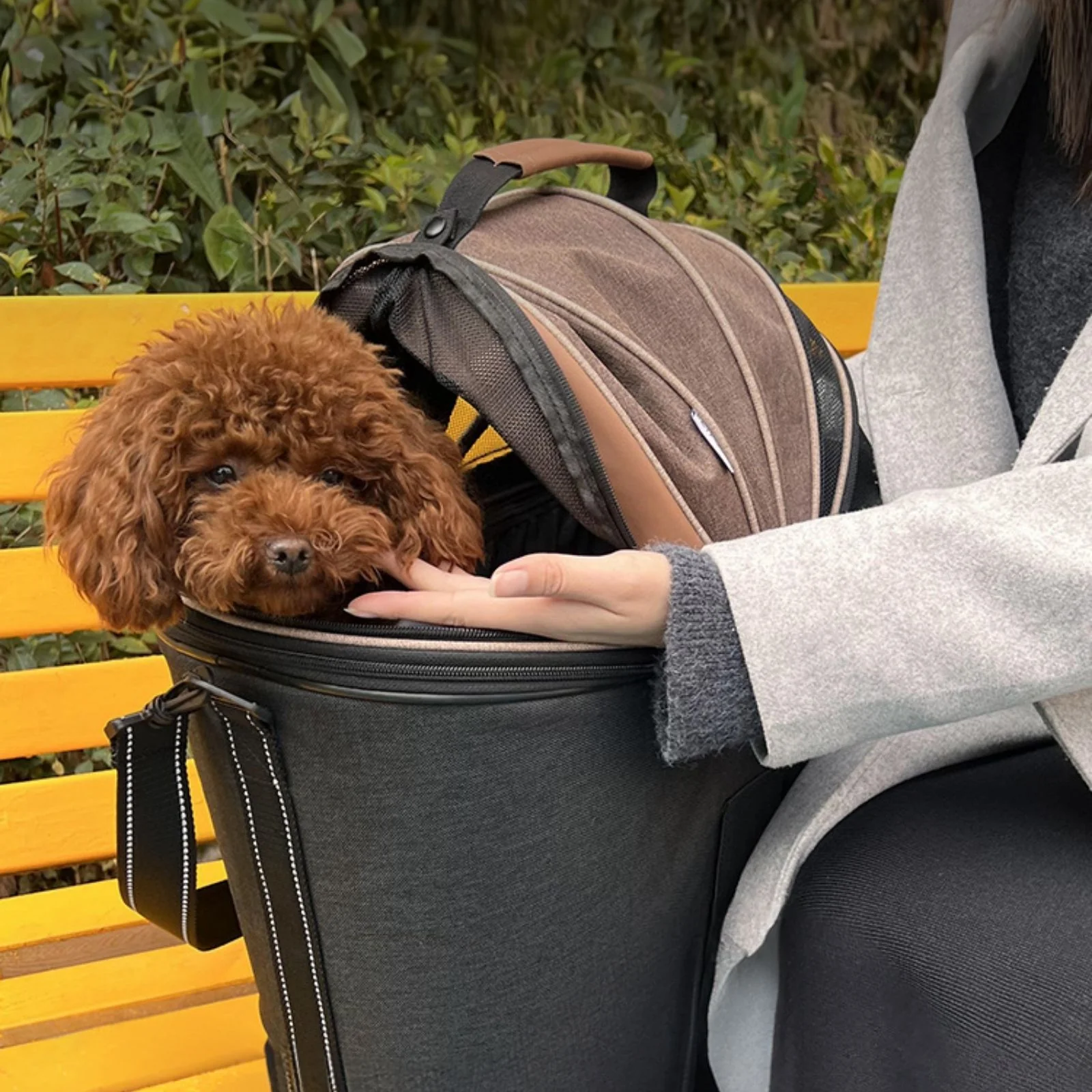 Tiertransporttasche Haustier-Fahrradtasche Transportkorb für Haustiere - Image 9