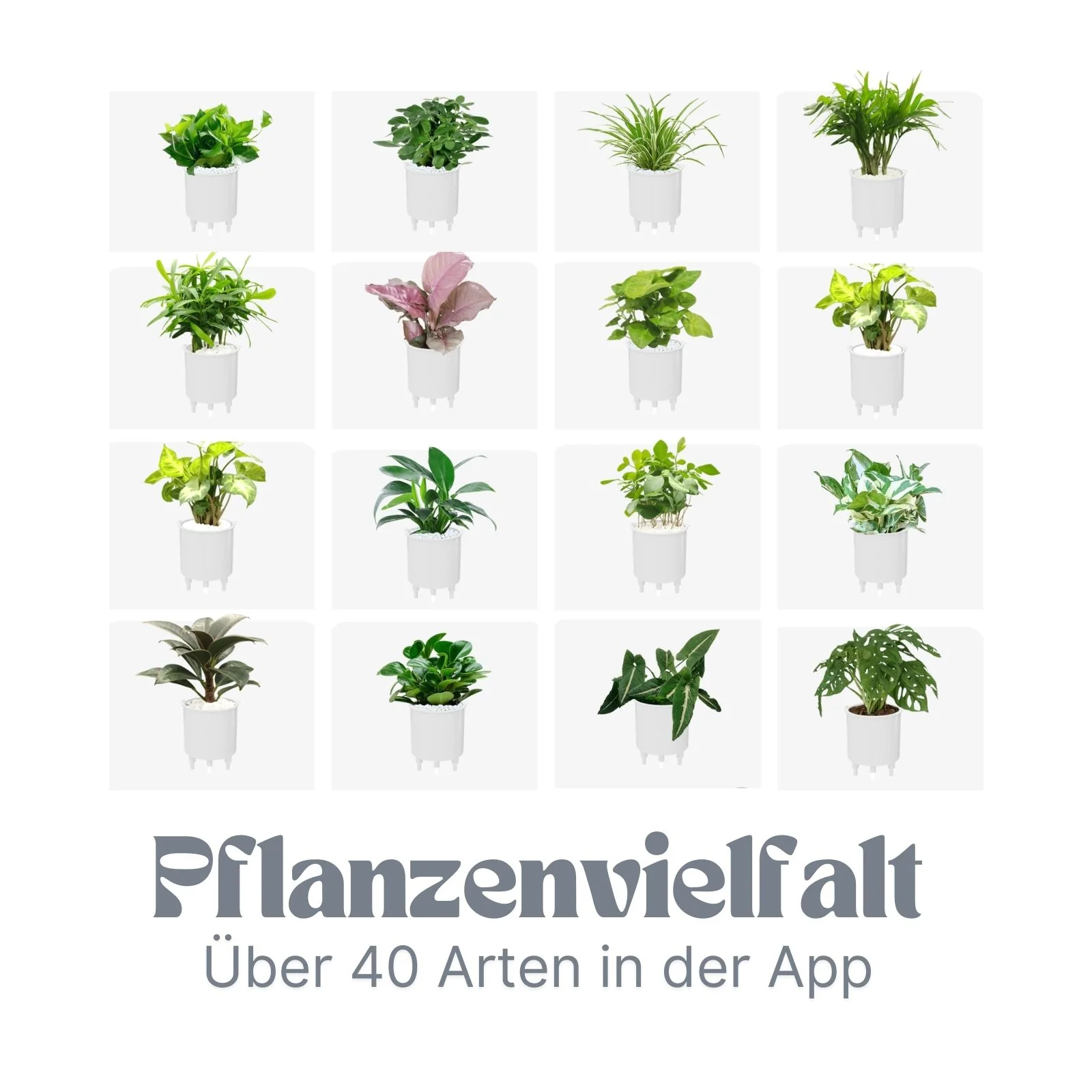 USB-Pflanzenübertopf Smarter Blumentopf Smart Plant Pot Elektronischer Blumentopf Ivy Smart Planter - Image 6