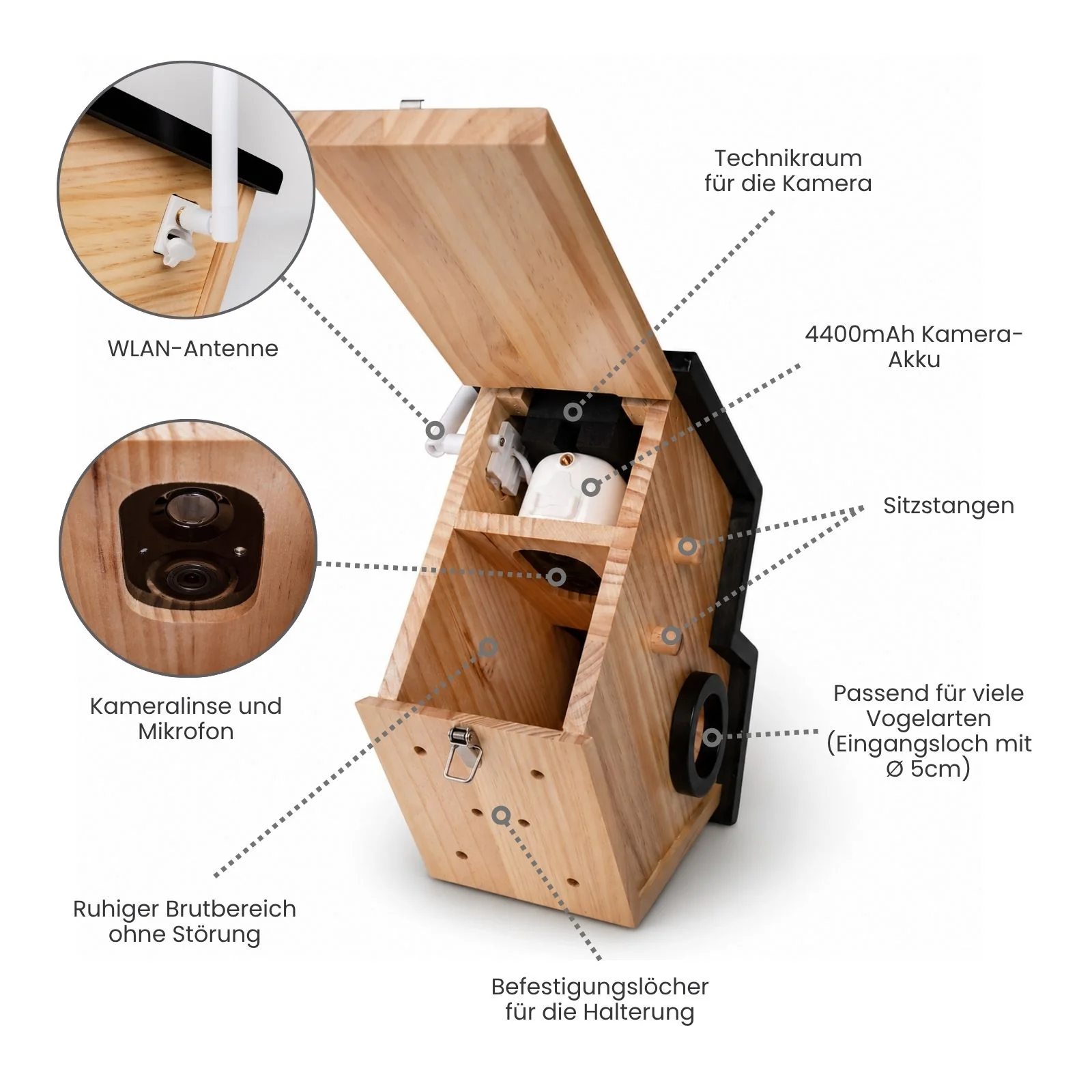 Vogelhaus mit Kamera und Solarpaneel Nistkasten Vogelhäuschen - Image 3