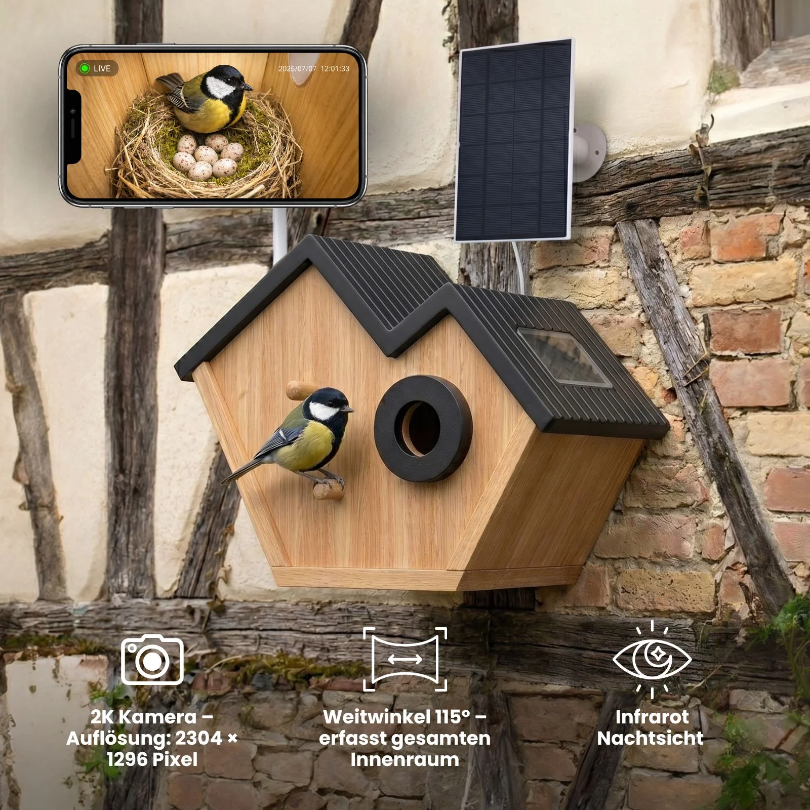 Vogelhaus mit Kamera und Solarpaneel Nistkasten Vogelhäuschen - Image 4