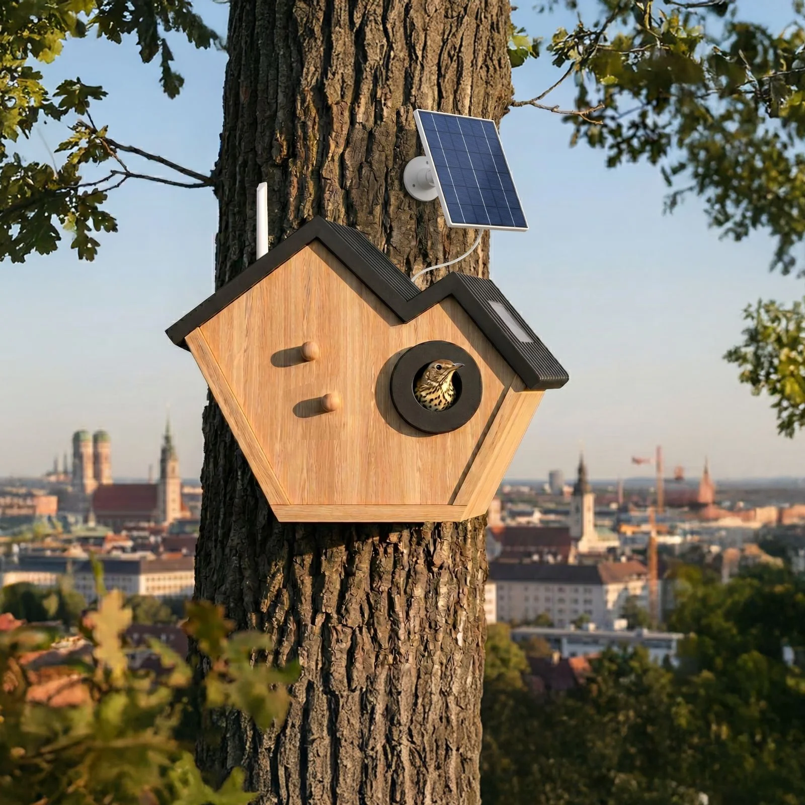 Vogelhaus mit Kamera und Solarpaneel Nistkasten Vogelhäuschen - Image 8